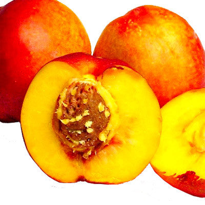 Candied Fancy Nectarines