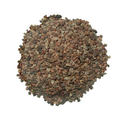 Cardamom Seeds